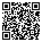 Continental Airlines URL QR Code